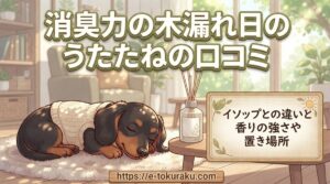 【消臭力の木漏れ日のうたたねの口コミ】イソップとの違いと香りの強さや置き場所